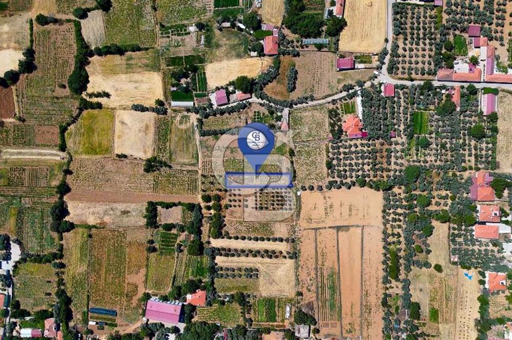 AKKAYA'DA MAHALLE YERLEŞİMİNE YAKIN; FIRSAT PORTFÖYÜ "TARLA"