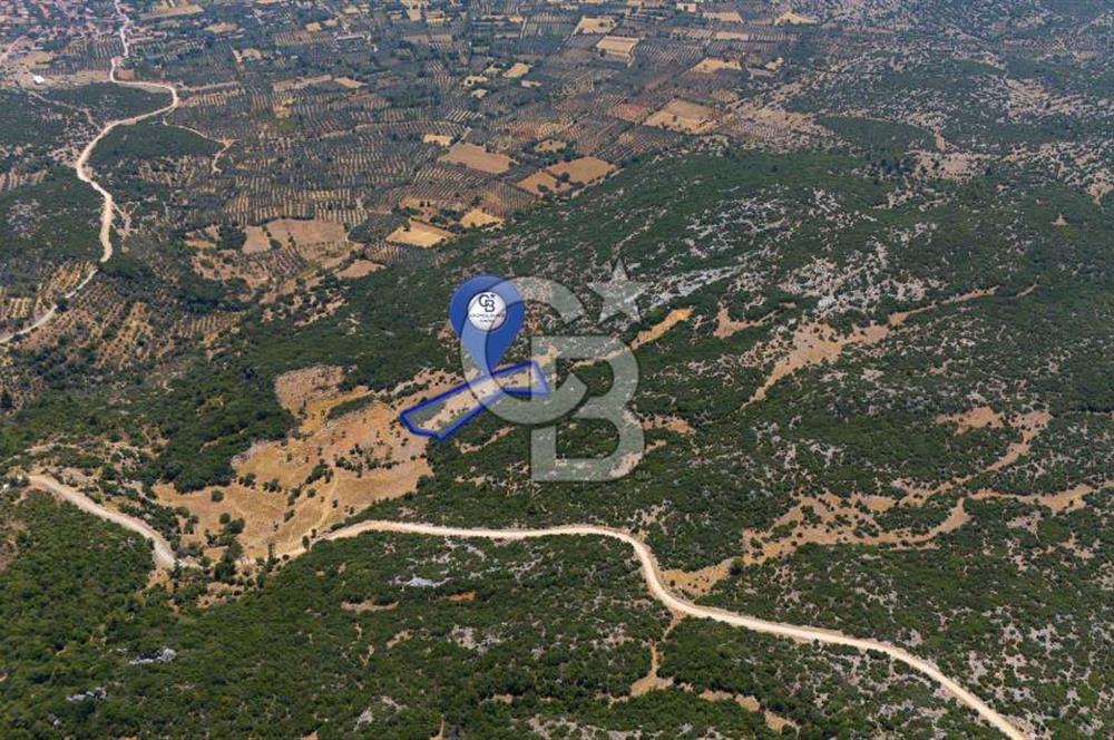 AKKAYA'DA GELİŞEN BÖLGEDE, YATIRIMLIK ORMAN İÇİNDE UYGUN "TARLA"