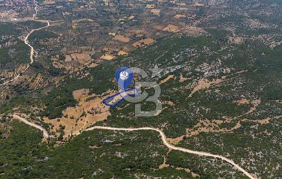 AKKAYA'DA GELİŞEN BÖLGEDE, YATIRIMLIK ORMAN İÇİNDE UYGUN "TARLA"