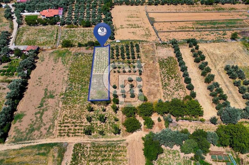 AKKAYA'DA MAHALLE YERLEŞİMİNE YAKIN; FIRSAT PORTFÖYÜ "TARLA"