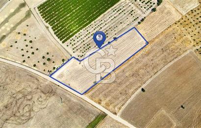 CB MARİNA'DAN HACIBAYRAMLAR MH. SATILIK 4.777 M2 "TARLA"
