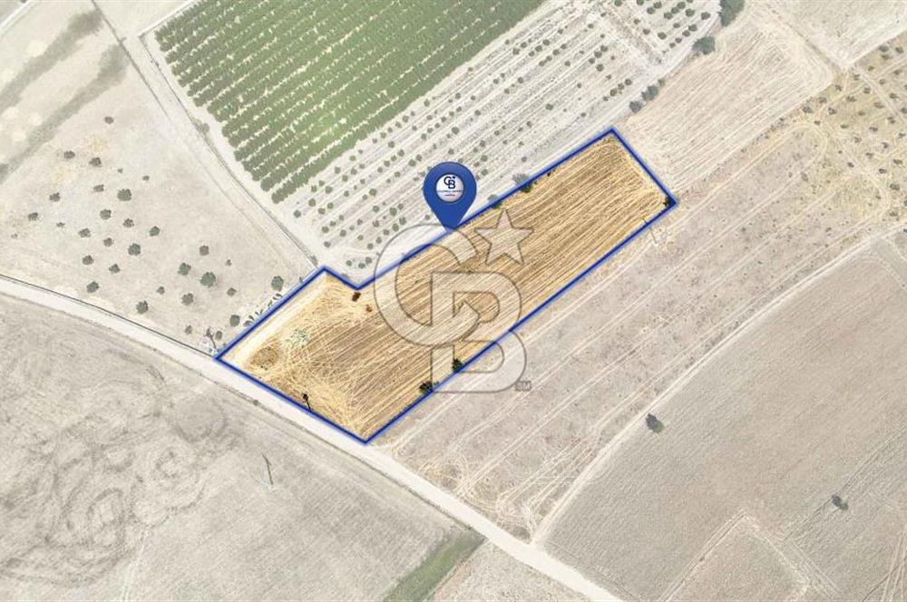 CB MARİNA'DAN HACIBAYRAMLAR MH. SATILIK 4.777 M2 "TARLA"