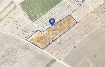 CB MARİNA'DAN HACIBAYRAMLAR MH. SATILIK 4.777 M2 "TARLA"