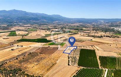 CB MARİNA'DAN HACIBAYRAMLAR MH. SATILIK 4.777 M2 "TARLA"