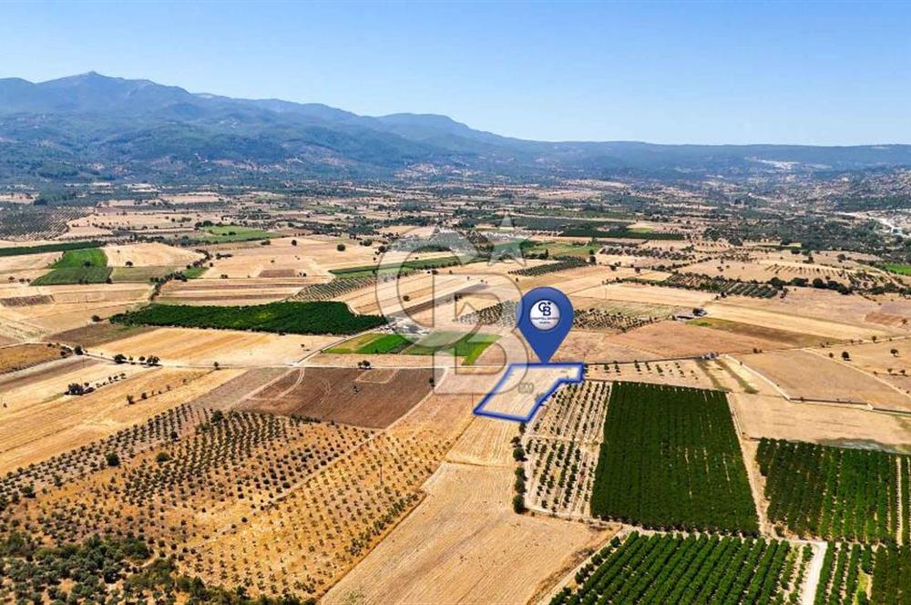 CB MARİNA'DAN HACIBAYRAMLAR MH. SATILIK 4.777 M2 "TARLA"