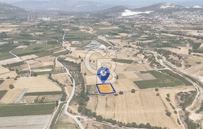 CB MARİNA'DAN YATAĞAN OVASINDA SATILIK 3.900 M2 SATILIK "TARLA"