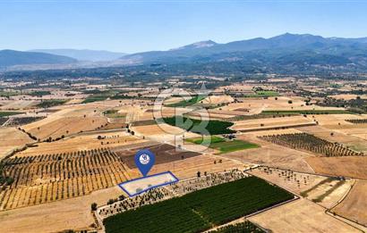 CB MARİNA'DAN HACIBAYRAMLAR MAH. SATILIK 2780 M2 "TARLA"