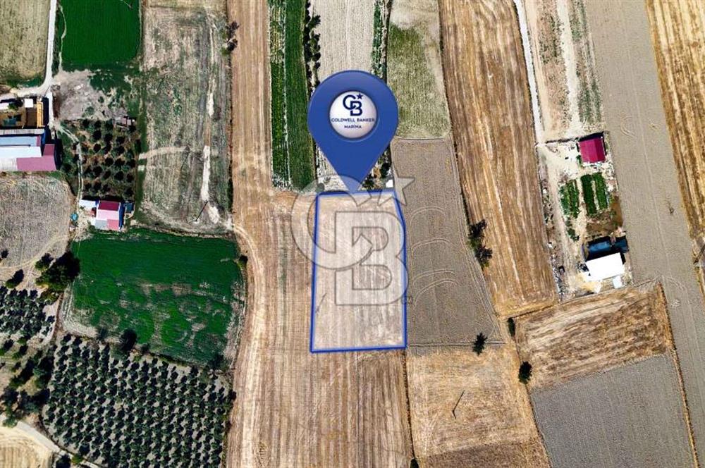 CB MARİNA'DAN YEŞİLYURT'TA YOLA SIFIR İMARA YAKIN "TARLA"