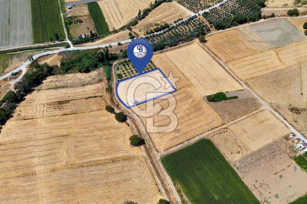 CB MARİNA'DAN YATAĞAN OVASINDA SATILIK 3.900 M2 SATILIK "TARLA"