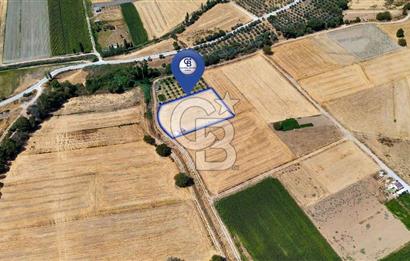 CB MARİNA'DAN YATAĞAN OVASINDA SATILIK 3.900 M2 SATILIK "TARLA"