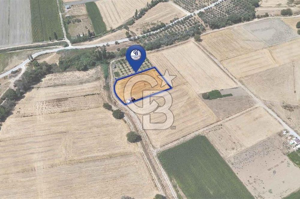 CB MARİNA'DAN YATAĞAN OVASINDA SATILIK 3.900 M2 SATILIK "TARLA"