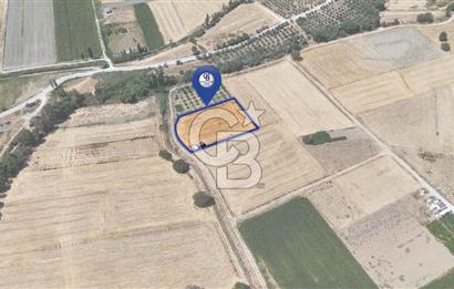 CB MARİNA'DAN YATAĞAN OVASINDA SATILIK 3.900 M2 SATILIK "TARLA"