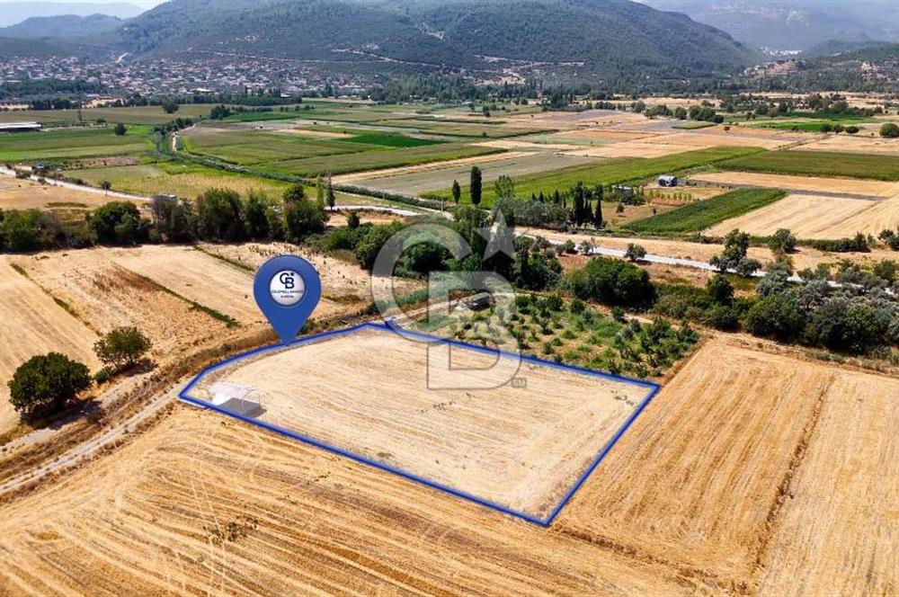 CB MARİNA'DAN YATAĞAN OVASINDA SATILIK 3.900 M2 SATILIK "TARLA"