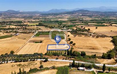 CB MARİNA'DAN YATAĞAN OVASINDA SATILIK 3.900 M2 SATILIK "TARLA"