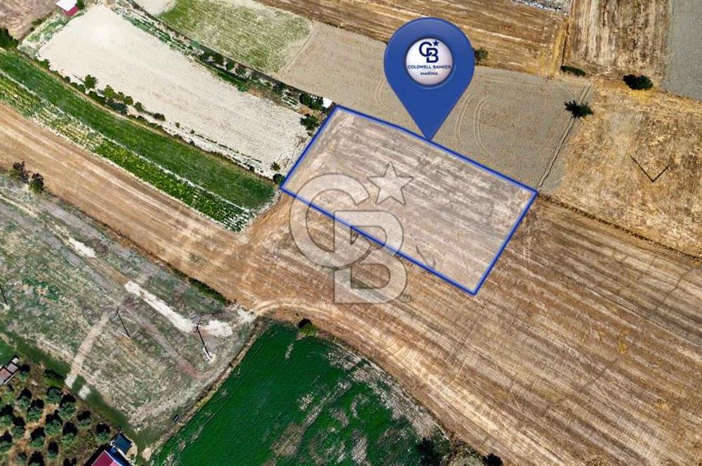 CB MARİNA'DAN YEŞİLYURT'TA YOLA SIFIR İMARA YAKIN "TARLA"