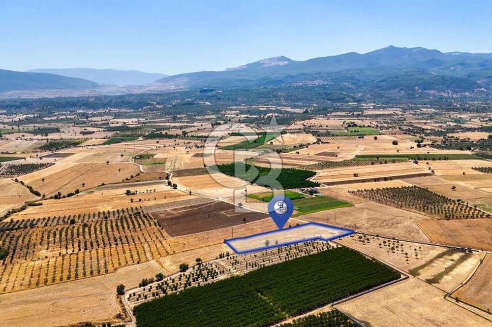 CB MARİNA'DAN HACIBAYRAMLAR MH. SATILIK 4.777 M2 "TARLA"