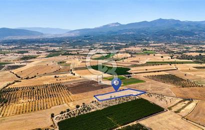 CB MARİNA'DAN HACIBAYRAMLAR MH. SATILIK 4.777 M2 "TARLA"