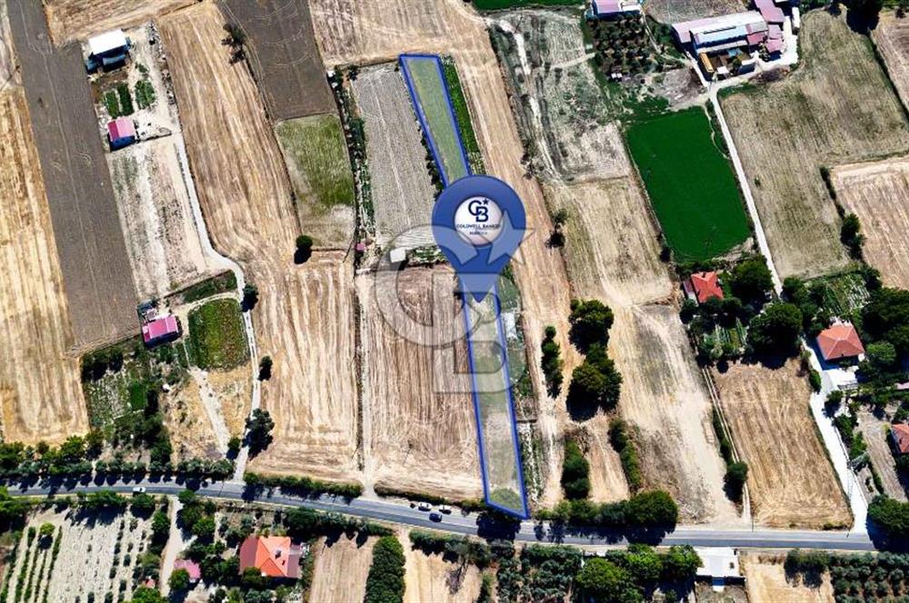 CB MARİNA'DAN YEŞİLYURT'TA YOLA SIFIR İMARA YAKIN "TARLA"