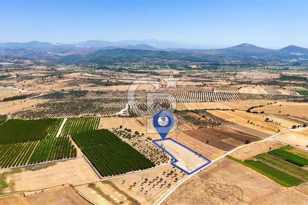 CB MARİNA'DAN HACIBAYRAMLAR MH. SATILIK 4.777 M2 "TARLA"