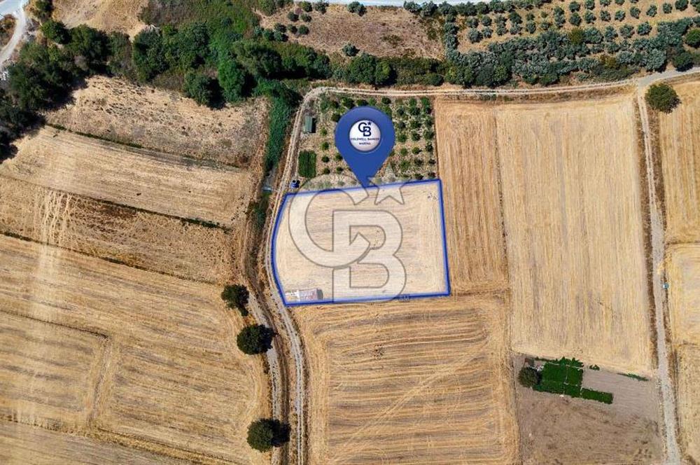 CB MARİNA'DAN YATAĞAN OVASINDA SATILIK 3.900 M2 SATILIK "TARLA"
