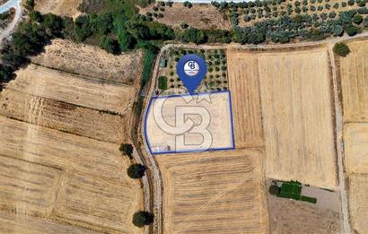 CB MARİNA'DAN YATAĞAN OVASINDA SATILIK 3.900 M2 SATILIK "TARLA"