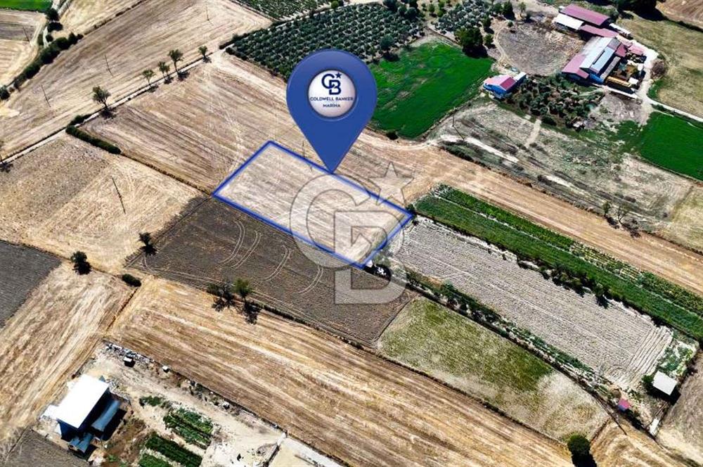 CB MARİNA'DAN YEŞİLYURT'TA YOLA SIFIR İMARA YAKIN "TARLA"
