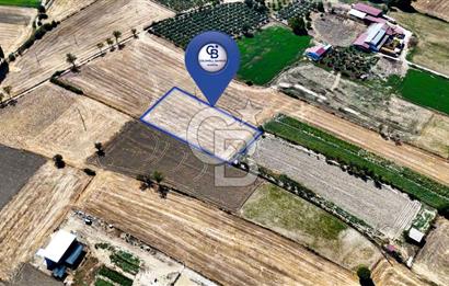 CB MARİNA'DAN YEŞİLYURT'TA YOLA SIFIR İMARA YAKIN "TARLA"
