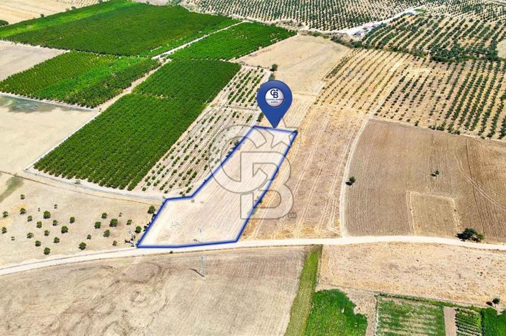 CB MARİNA'DAN HACIBAYRAMLAR MH. SATILIK 4.777 M2 "TARLA"