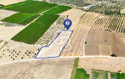 CB MARİNA'DAN HACIBAYRAMLAR MH. SATILIK 4.777 M2 "TARLA"
