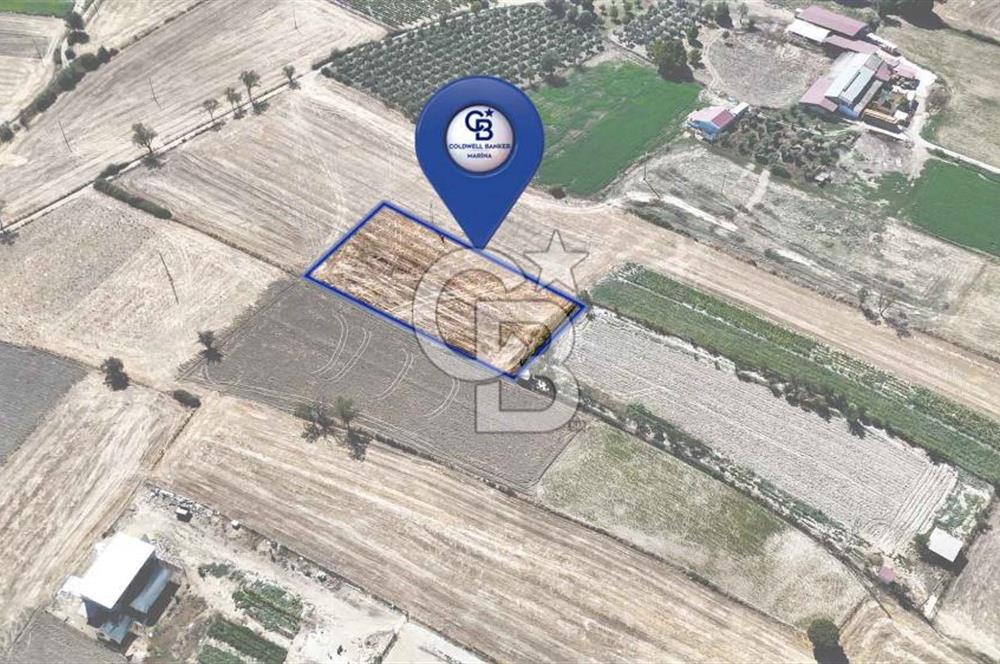 CB MARİNA'DAN YEŞİLYURT'TA YOLA SIFIR İMARA YAKIN "TARLA"