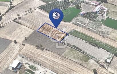 CB MARİNA'DAN YEŞİLYURT'TA YOLA SIFIR İMARA YAKIN "TARLA"