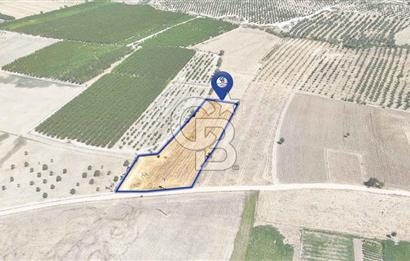 CB MARİNA'DAN HACIBAYRAMLAR MH. SATILIK 4.777 M2 "TARLA"
