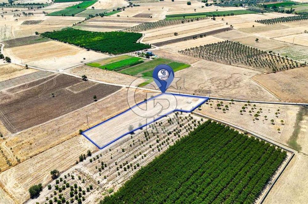 CB MARİNA'DAN HACIBAYRAMLAR MH. SATILIK 4.777 M2 "TARLA"