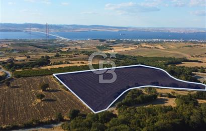 Çanakkale Lapseki Kocaveli'de İmar Genişlemede Manzaralı Arazi