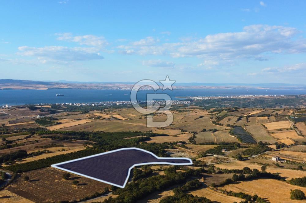 Çanakkale Lapseki Kocaveli'de İmar Genişlemede Manzaralı Arazi