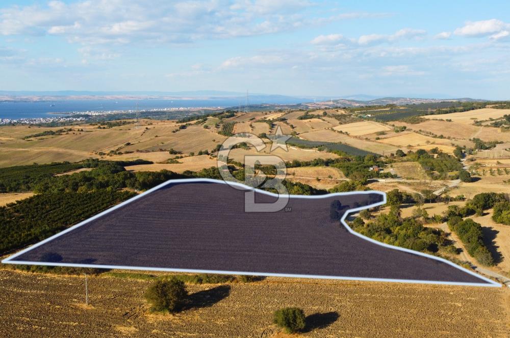 Çanakkale Lapseki Kocaveli'de İmar Genişlemede Manzaralı Arazi