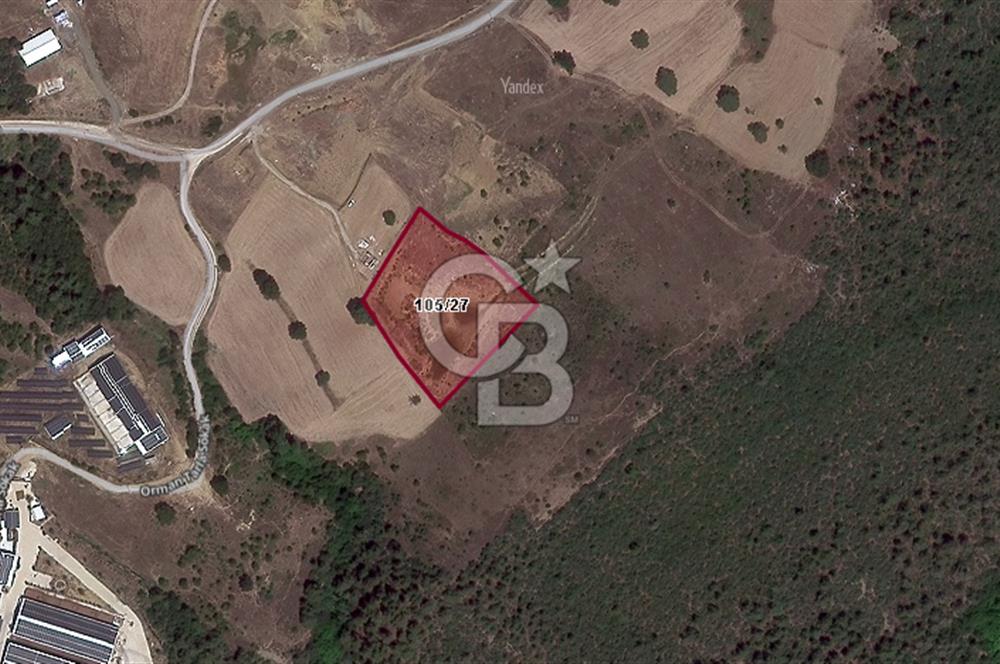 CB BLACK'TEN KESTEL AĞLAŞAN SATILIK 7.372M2 ARAZİ