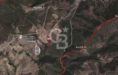 CB BLACK'TEN KESTEL AĞLAŞAN SATILIK 7.372M2 ARAZİ