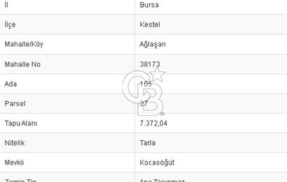 CB BLACK'TEN KESTEL AĞLAŞAN SATILIK 7.372M2 ARAZİ