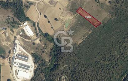 CB BLACK'TEN KESTEL AĞLAŞAN SATILIK 4336M2 ARAZİ