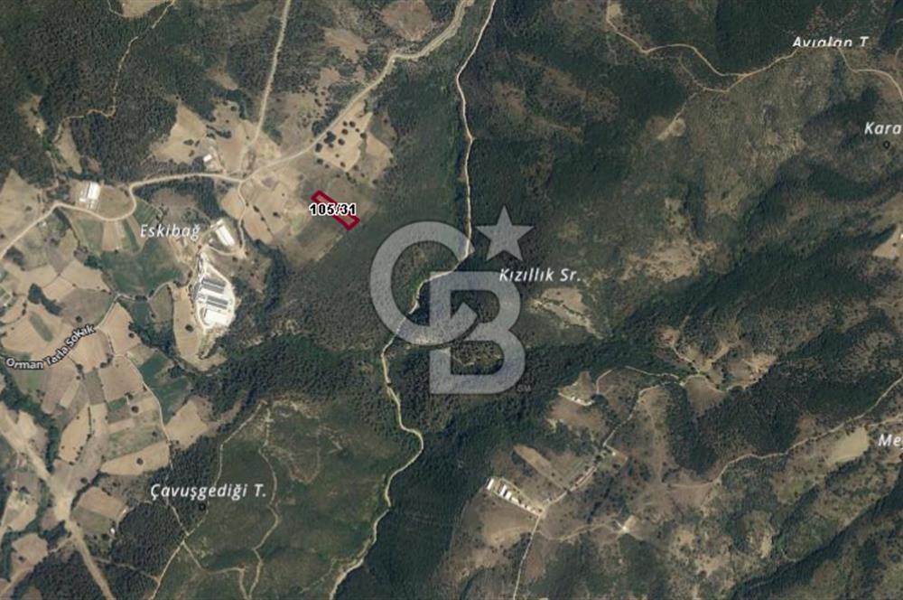CB BLACK'TEN KESTEL AĞLAŞAN SATILIK 4336M2 ARAZİ