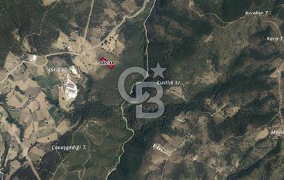 CB BLACK'TEN KESTEL AĞLAŞAN SATILIK 4336M2 ARAZİ