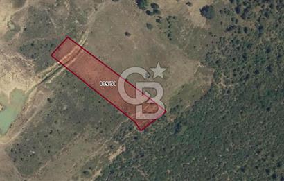 CB BLACK'TEN KESTEL AĞLAŞAN SATILIK 4336M2 ARAZİ
