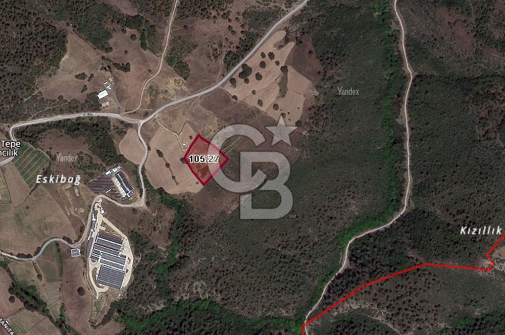 CB BLACK'TEN KESTEL AĞLAŞAN SATILIK 7.372M2 ARAZİ