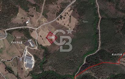 CB BLACK'TEN KESTEL AĞLAŞAN SATILIK 7.372M2 ARAZİ
