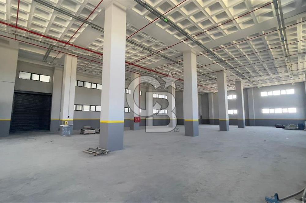 Deliklikaya Teskoop 7750m2 Satılık Müstakil Fabrika