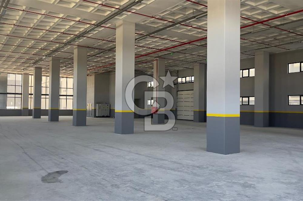 Deliklikaya Teskoop 7750m2 Satılık Müstakil Fabrika