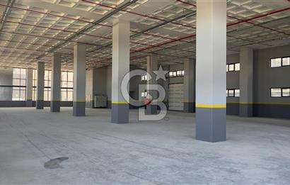 Deliklikaya Teskoop 7750m2 Satılık Müstakil Fabrika