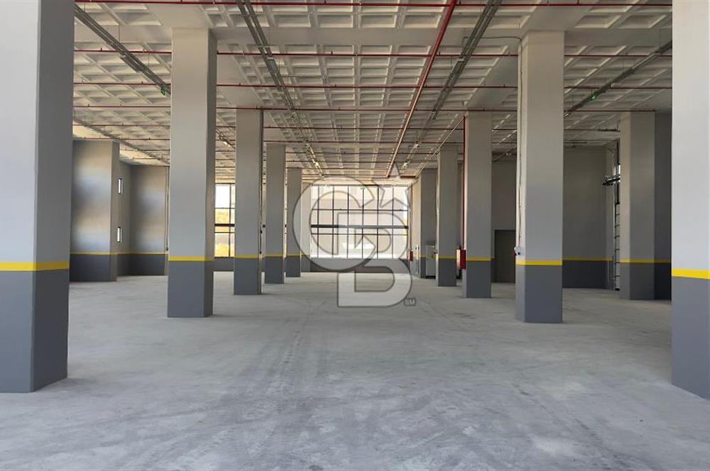 Deliklikaya Teskoop 7750m2 Satılık Müstakil Fabrika