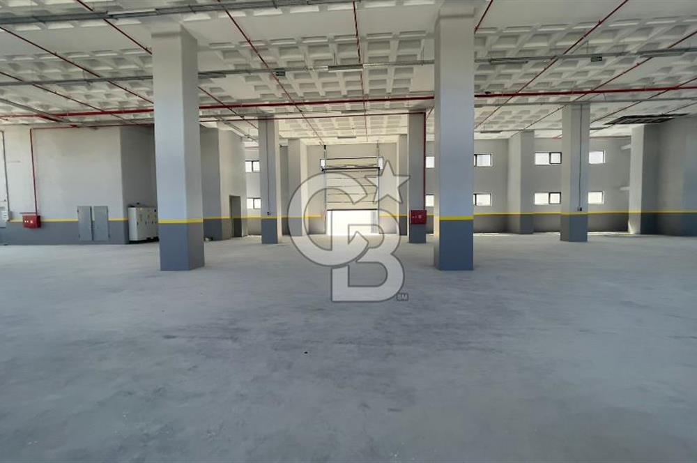 Deliklikaya Teskoop 7750m2 Satılık Müstakil Fabrika